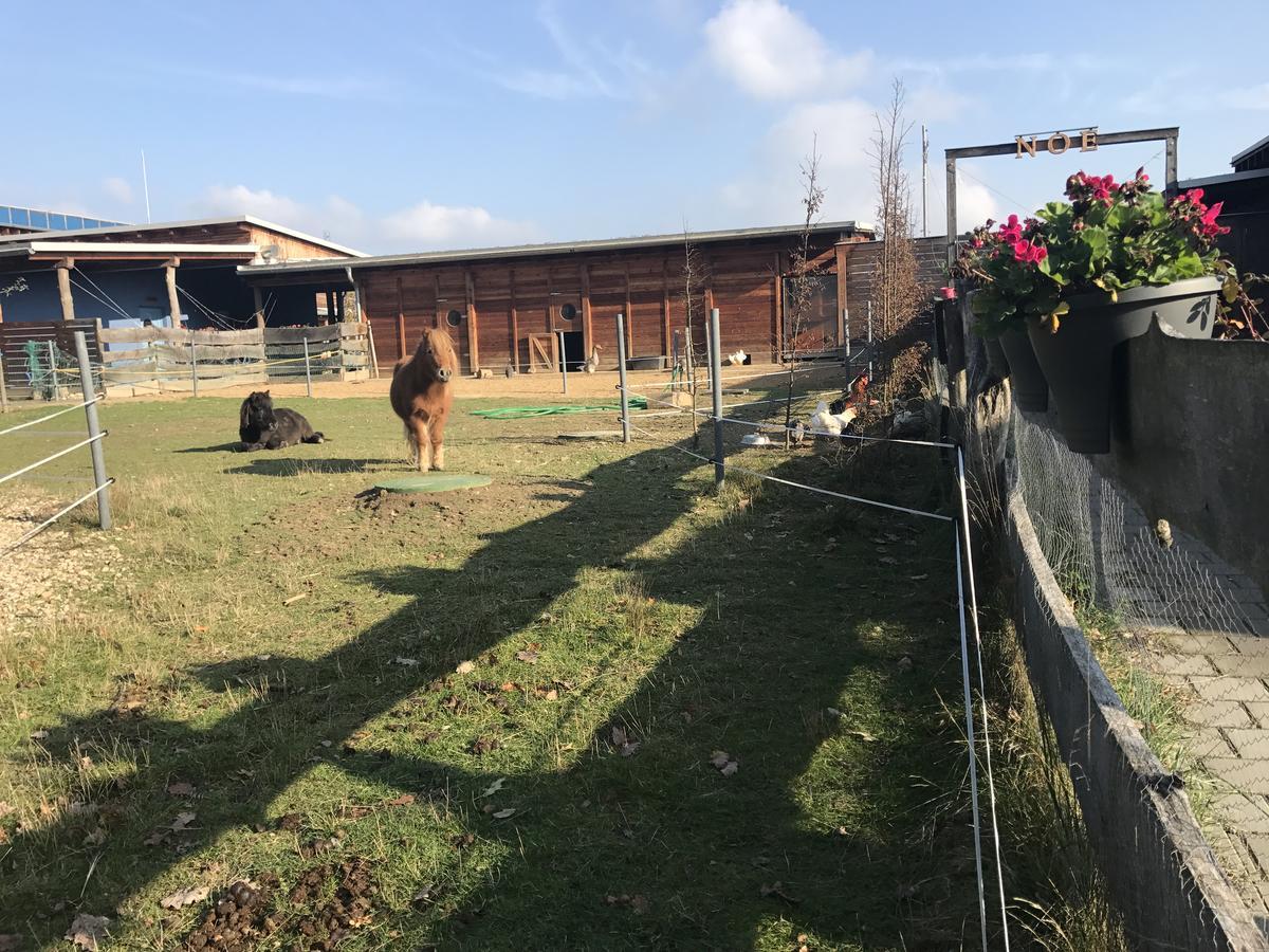 Gasthaus Farma Noe Brezina  Exterior foto